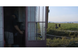 Film sur des paysans Grecques qui décident de mettre de la musique classique dans leur champ de tomates